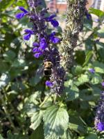 View photo in a new window