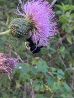 View photo in a new window