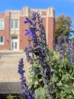 View photo in a new window