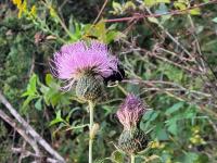 View photo in a new window