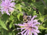 View photo in a new window