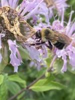 View photo in a new window