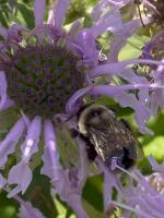 View photo in a new window