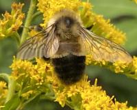 View photo in a new window