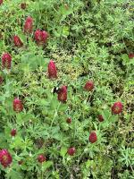 View photo in a new window