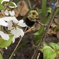 View photo in a new window