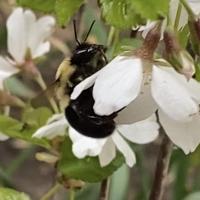 View photo in a new window