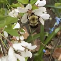 View photo in a new window