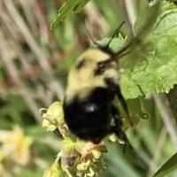 View photo in a new window