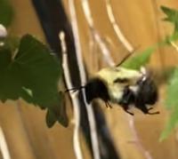 View photo in a new window