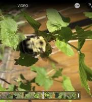 View photo in a new window