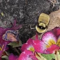 View photo in a new window