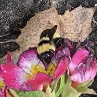 View photo in a new window