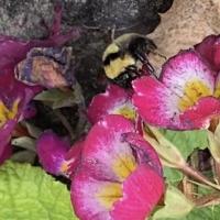 View photo in a new window