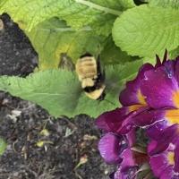 View photo in a new window