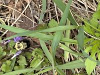 View photo in a new window