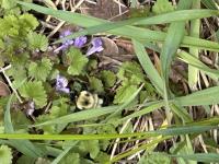 View photo in a new window