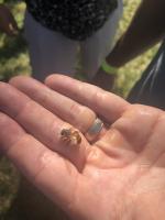 View photo in a new window