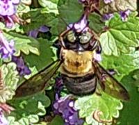 View photo in a new window