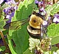 View photo in a new window