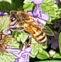 View photo in a new window