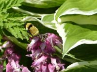 View photo in a new window