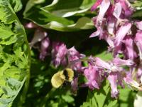 View photo in a new window