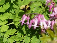 View photo in a new window