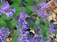 View photo in a new window