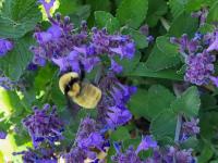 View photo in a new window