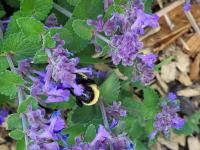 View photo in a new window