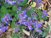 View photo in a new window