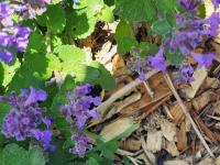 View photo in a new window