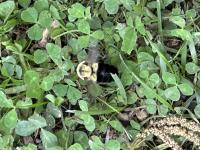 View photo in a new window