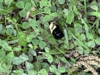 View photo in a new window