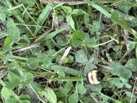 View photo in a new window