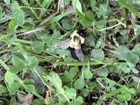 View photo in a new window