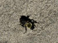 View photo in a new window