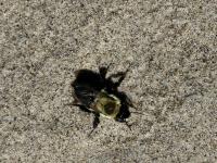 View photo in a new window