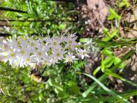 View photo in a new window