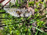 View photo in a new window