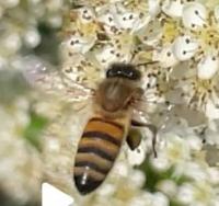 View photo in a new window