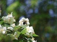 View photo in a new window