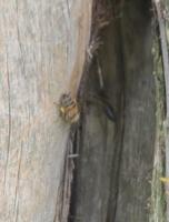 View photo in a new window