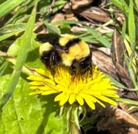 View photo in a new window