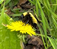 View photo in a new window