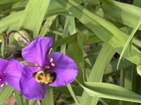 View photo in a new window