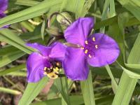 View photo in a new window