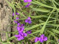 View photo in a new window