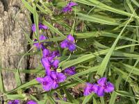 View photo in a new window